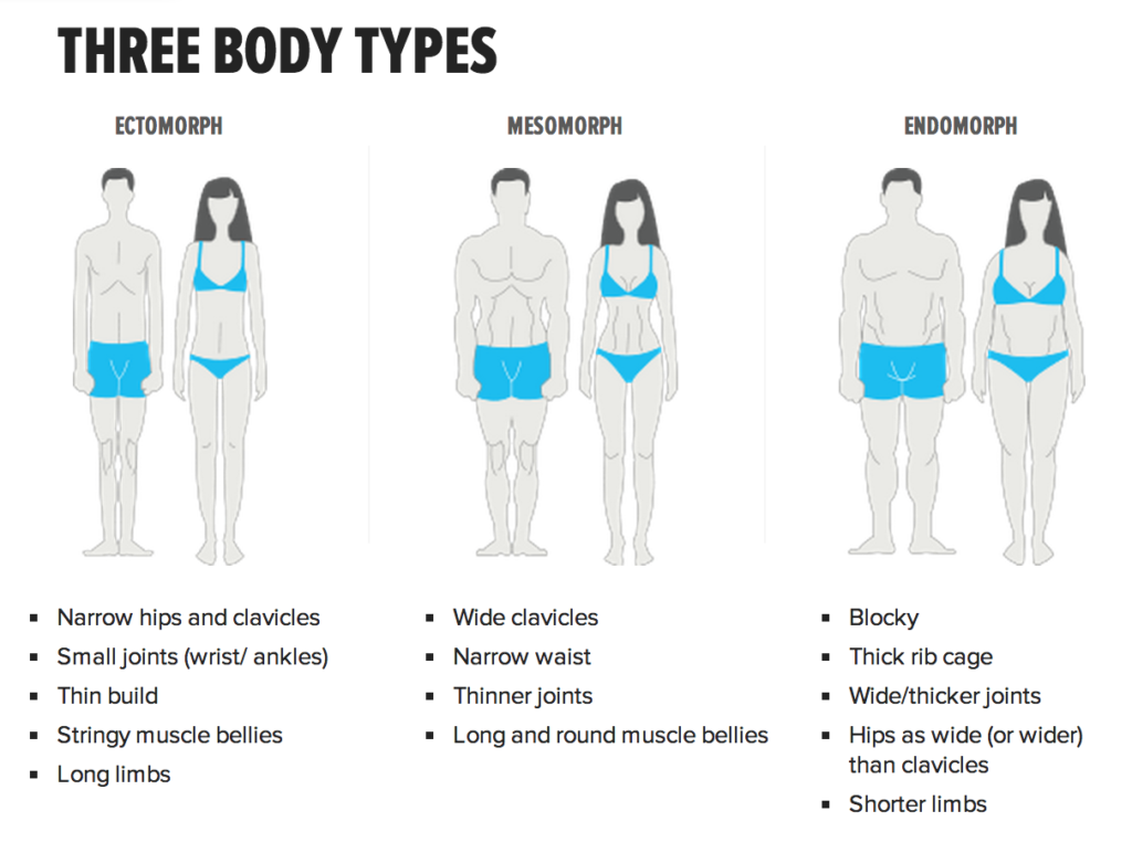 Sahfit - WHICH IS YOUR? Human body shape is a complex phenomenon